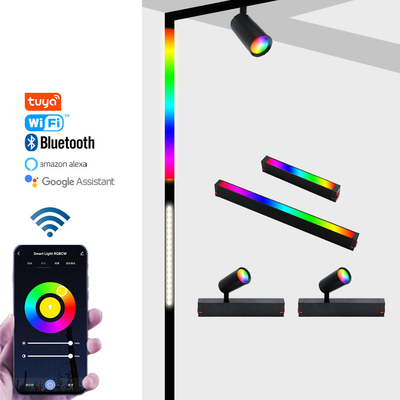 2700K LEIDENE Magnetische Spoor Lichte 220v Slimme Rgb Schijnwerper zonder Hoofdverlichting