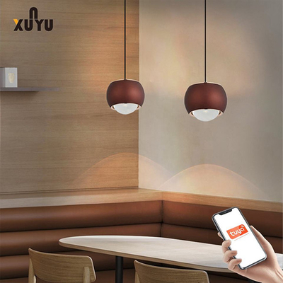 XUNYU-van het LEIDENE de Tegenhanger Lichte Inrichtingen Tegenhanger Lichte 8W 6000K Gebied