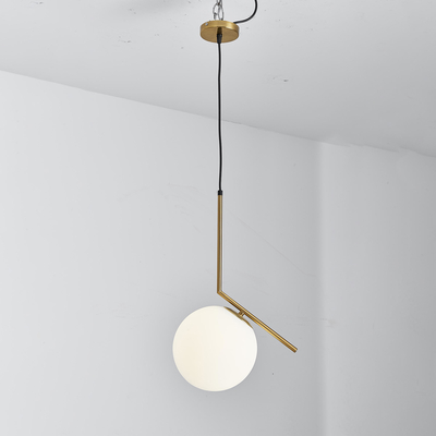 De decoratieve Enige Hoofd Geleide Lichten van het Tegenhangerplafond voor Hotel/Huis