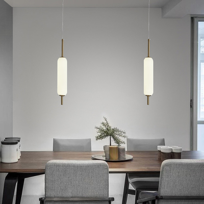 De minimalistische LEIDENE Tegenhanger Lichte Eetkamer 6000K snakt Tegenhangerlicht