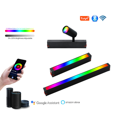 Hoogspannings Slimme App Controle Rgb LEIDENE Schijnwerper8w 16W LEIDENE Schijnwerper