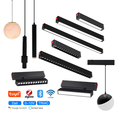 Smart 2.4G12W 20W 30W LED roosterlicht Spotlight Magnetisch spoorlicht